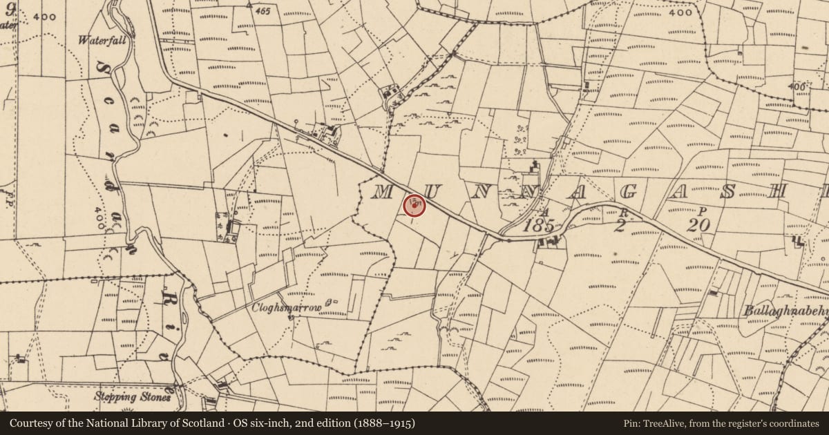 Ordnance Survey six-inch map, 2nd edition (1888–1915) covering the location of Enclosure, Munnagashel, County Leitrim, with a pin at the register's coordinates