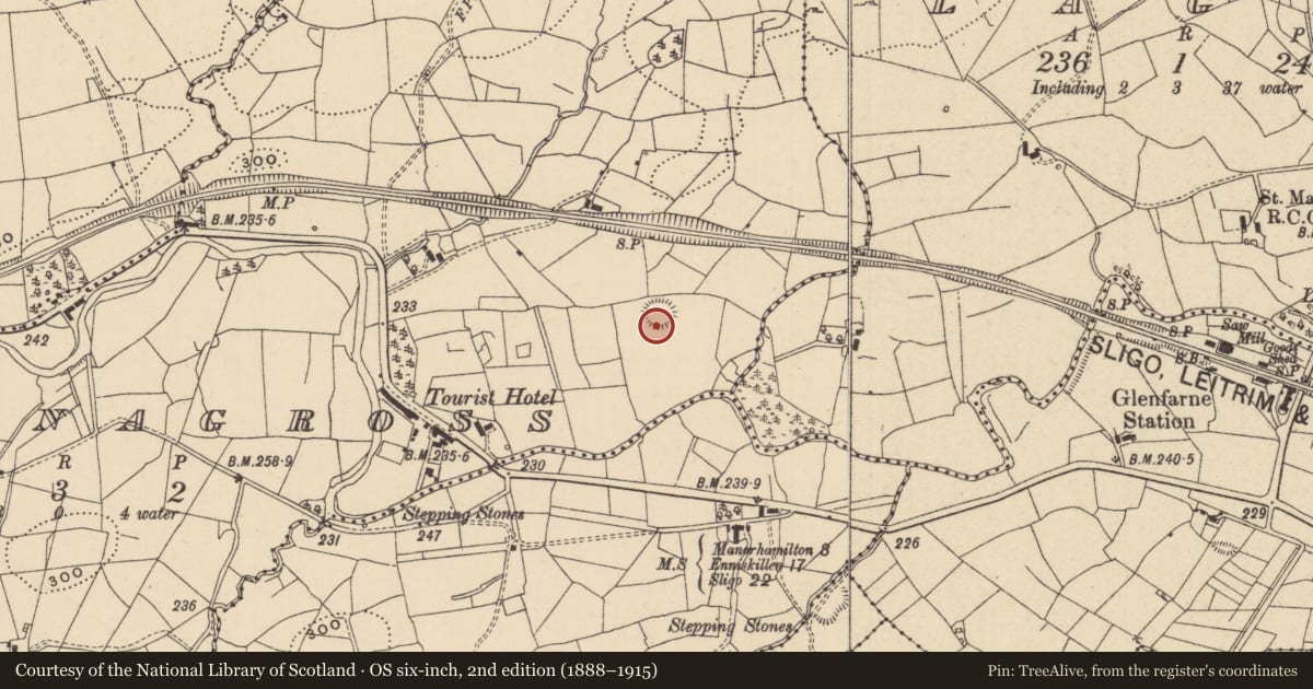 Ordnance Survey six-inch map, 2nd edition (1888–1915) covering the location of Ringfort - rath, Sranagross, County Leitrim, with a pin at the register's coordinates