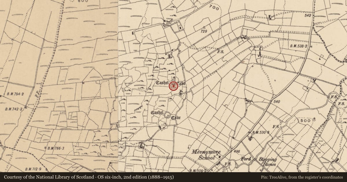 Ordnance Survey six-inch map, 2nd edition (1888–1915) covering the location of Ringfort - cashel, Meenymore, County Leitrim, with a pin at the register's coordinates