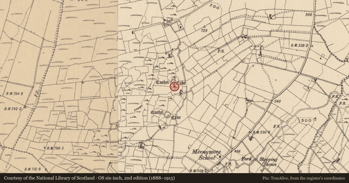 Ordnance Survey six-inch map, 2nd edition (1888–1915) covering the location of Souterrain, Meenymore, County Leitrim, with a pin at the register's coordinates