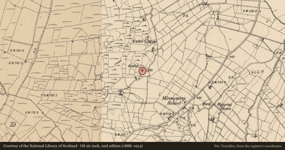 Ordnance Survey six-inch map, 2nd edition (1888–1915) covering the location of Ringfort - cashel, Meenymore, County Leitrim, with a pin at the register's coordinates