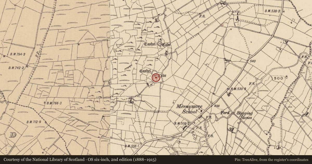 Ordnance Survey six-inch map, 2nd edition (1888–1915) covering the location of Souterrain, Meenymore, County Leitrim, with a pin at the register's coordinates