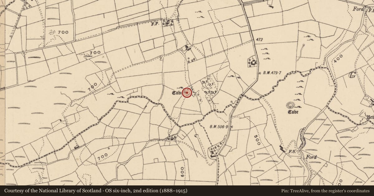 Ordnance Survey six-inch map, 2nd edition (1888–1915) covering the location of Souterrain, Gortnalibbert, County Leitrim, with a pin at the register's coordinates