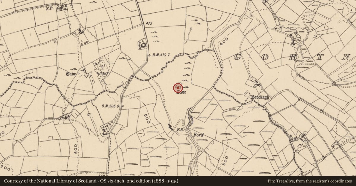 Ordnance Survey six-inch map, 2nd edition (1888–1915) covering the location of Ringfort - rath, Lurgan, County Leitrim, with a pin at the register's coordinates