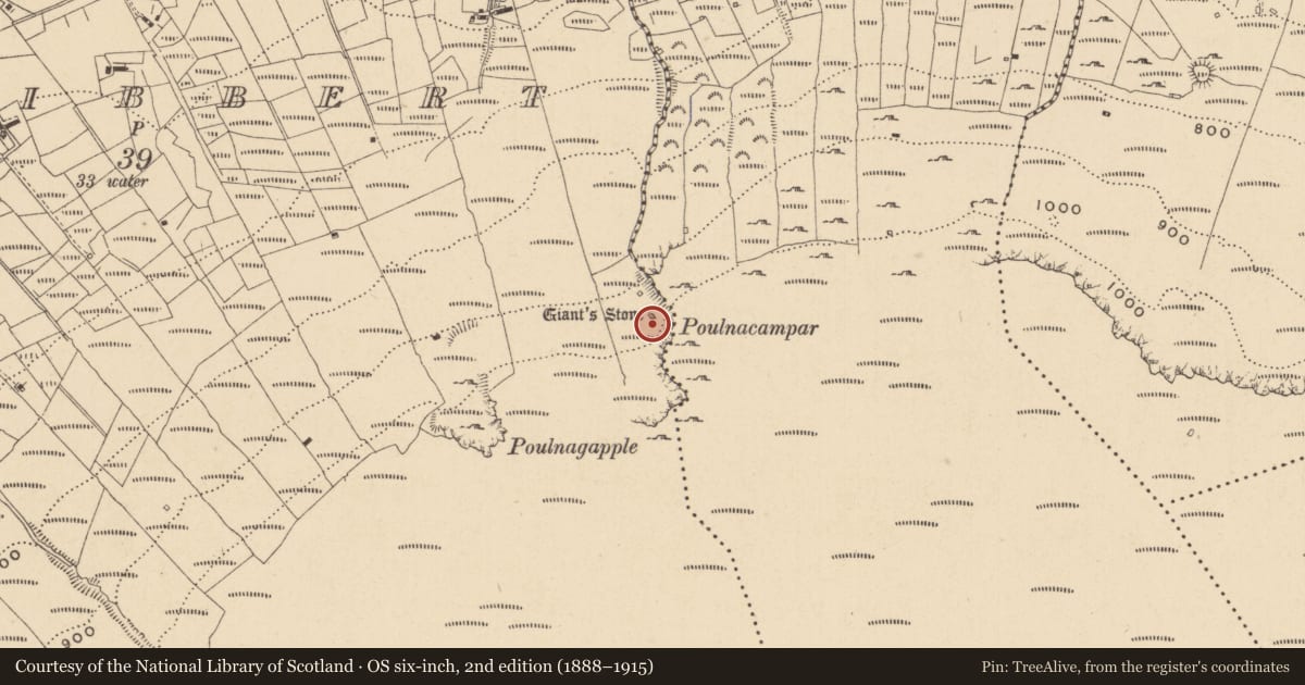 Ordnance Survey six-inch map, 2nd edition (1888–1915) covering the location of Inscribed stone, Gortnalibbert, County Leitrim, with a pin at the register's coordinates