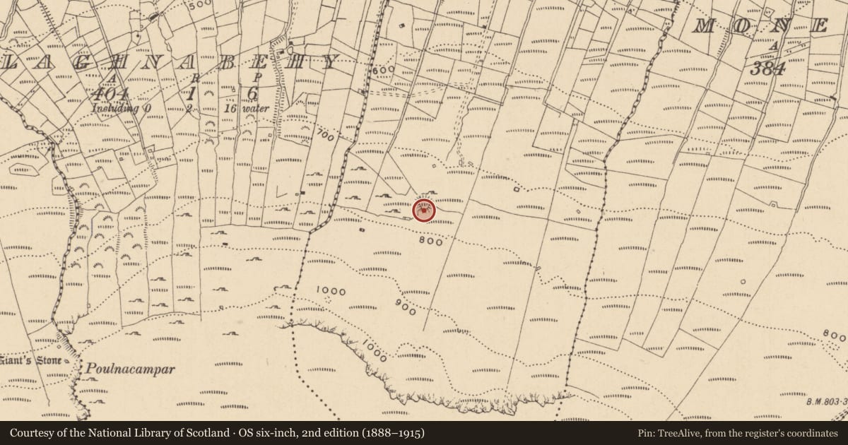 Ordnance Survey six-inch map, 2nd edition (1888–1915) covering the location of Ringfort - cashel, Briscloonagh, County Leitrim, with a pin at the register's coordinates
