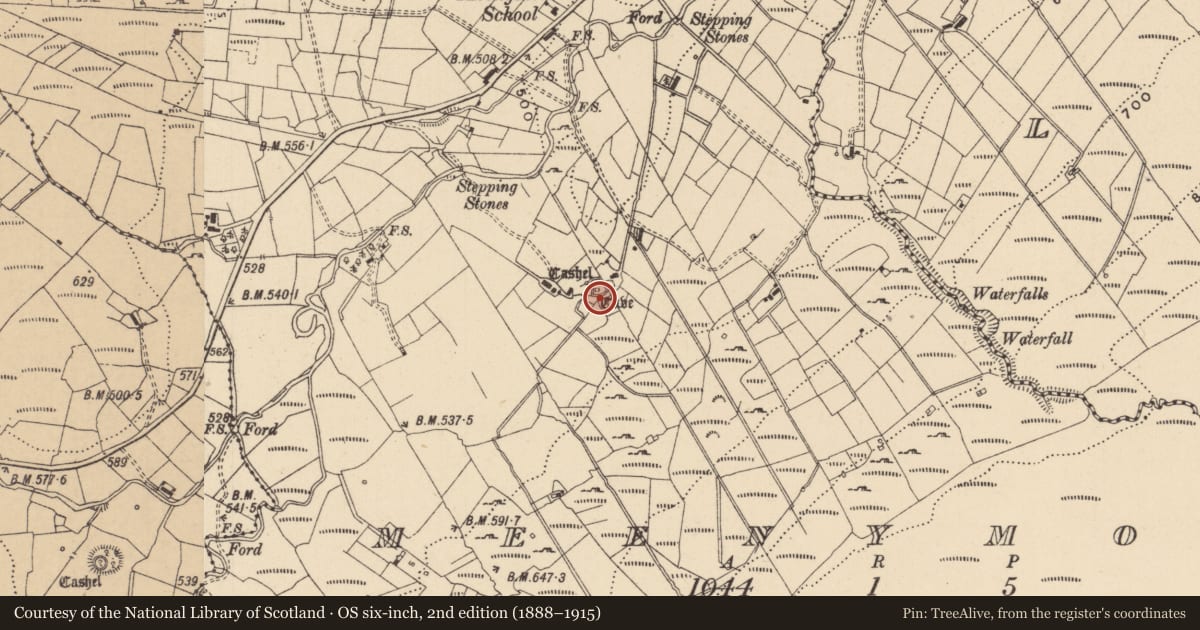 Ordnance Survey six-inch map, 2nd edition (1888–1915) covering the location of Souterrain, Meenymore, County Leitrim, with a pin at the register's coordinates