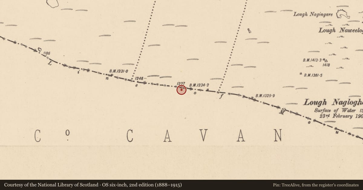 Ordnance Survey six-inch map, 2nd edition (1888–1915) covering the location of Boundary mound, County Leitrim, with a pin at the register's coordinates