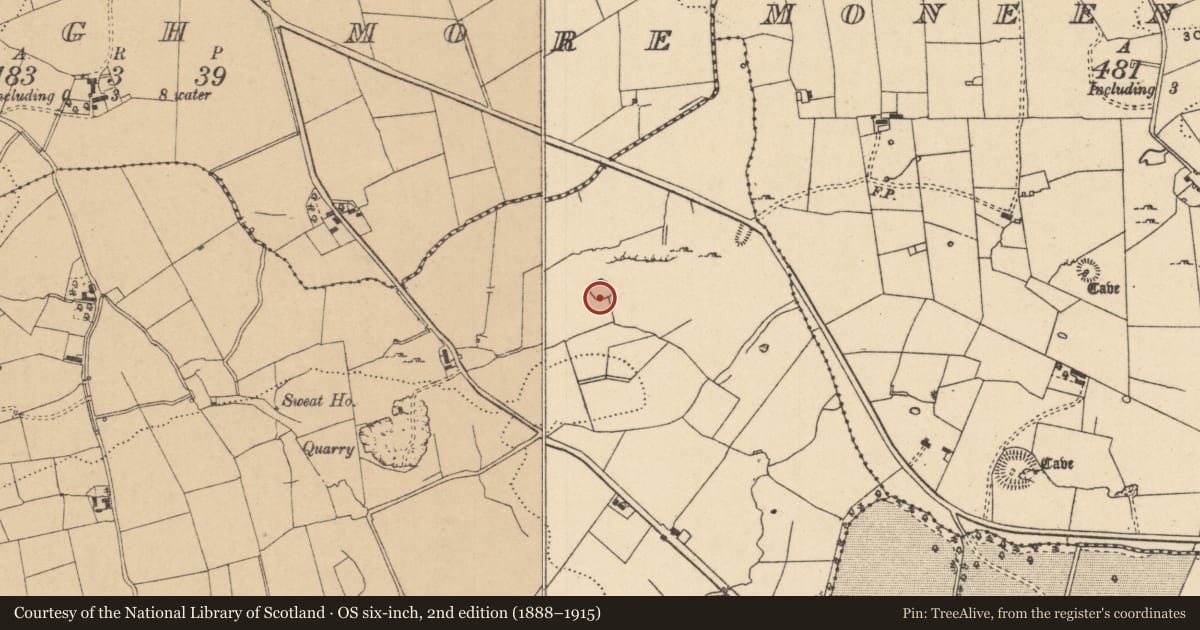 Ordnance Survey six-inch map, 2nd edition (1888–1915) covering the location of Ringfort - rath, Tullyskeherny, County Leitrim, with a pin at the register's coordinates