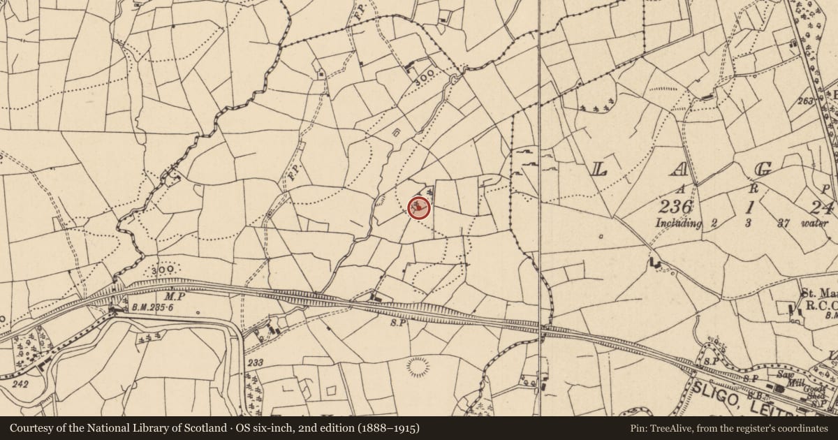 Ordnance Survey six-inch map, 2nd edition (1888–1915) covering the location of Enclosure, Sranagross, County Leitrim, with a pin at the register's coordinates