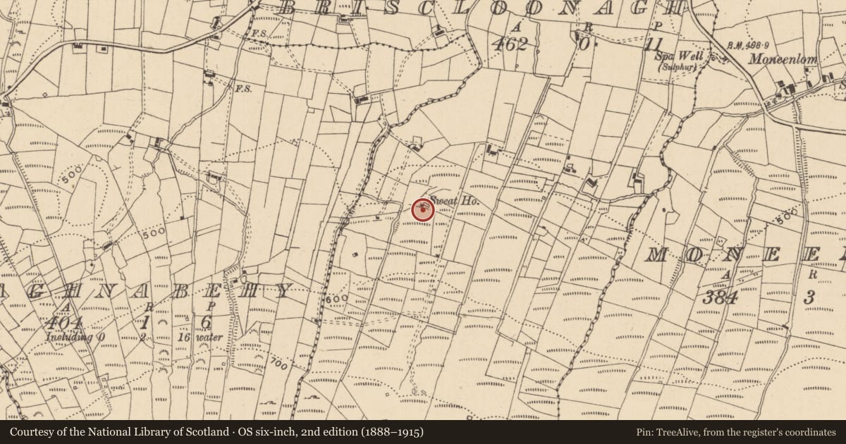 Ordnance Survey six-inch map, 2nd edition (1888–1915) covering the location of Sweathouse, Briscloonagh, County Leitrim, with a pin at the register's coordinates