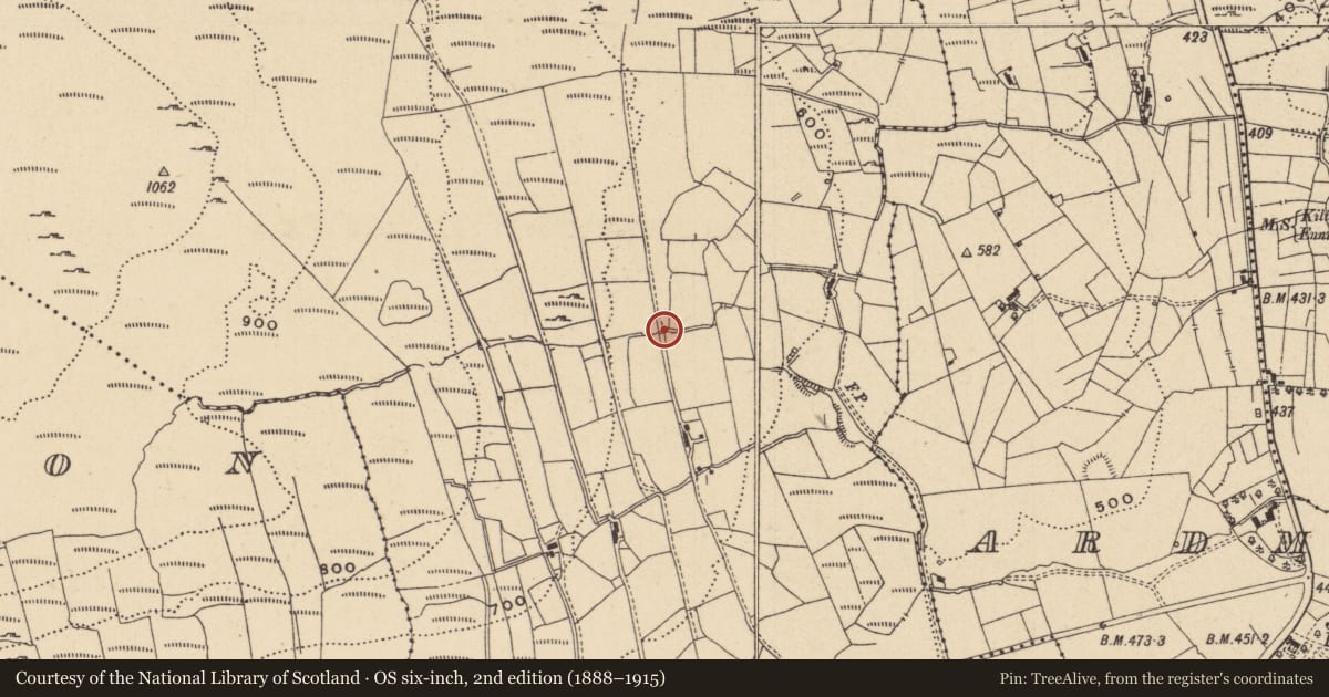 Ordnance Survey six-inch map, 2nd edition (1888–1915) covering the location of Sweathouse, Loughros, County Leitrim, with a pin at the register's coordinates