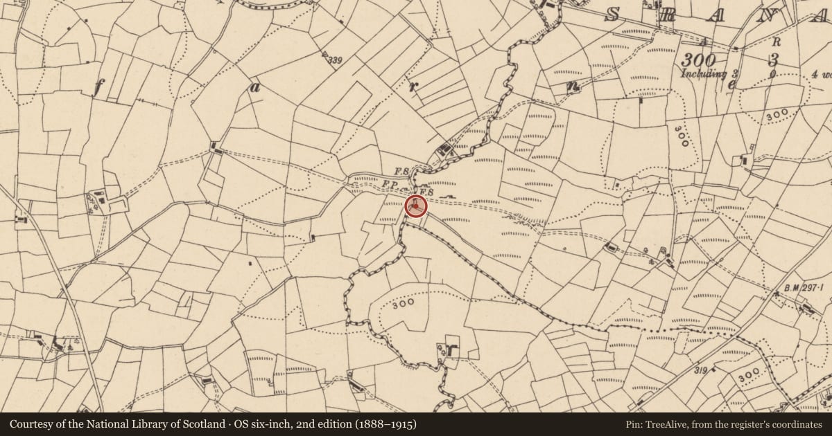 Ordnance Survey six-inch map, 2nd edition (1888–1915) covering the location of Sweathouse, Sranagross, County Leitrim, with a pin at the register's coordinates