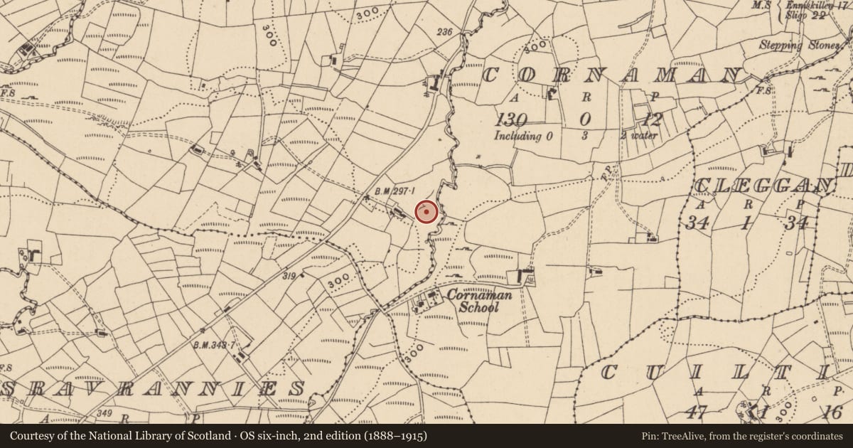 Ordnance Survey six-inch map, 2nd edition (1888–1915) covering the location of Sweathouse, Sranagross, County Leitrim, with a pin at the register's coordinates