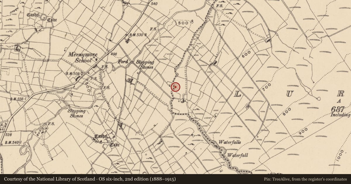 Ordnance Survey six-inch map, 2nd edition (1888–1915) covering the location of Sweathouse, Lurgan, County Leitrim, with a pin at the register's coordinates