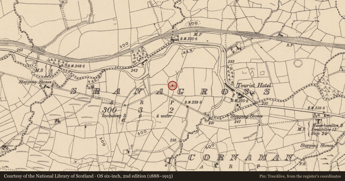 Ordnance Survey six-inch map, 2nd edition (1888–1915) covering the location of Ringfort - rath, Sranagross, County Leitrim, with a pin at the register's coordinates