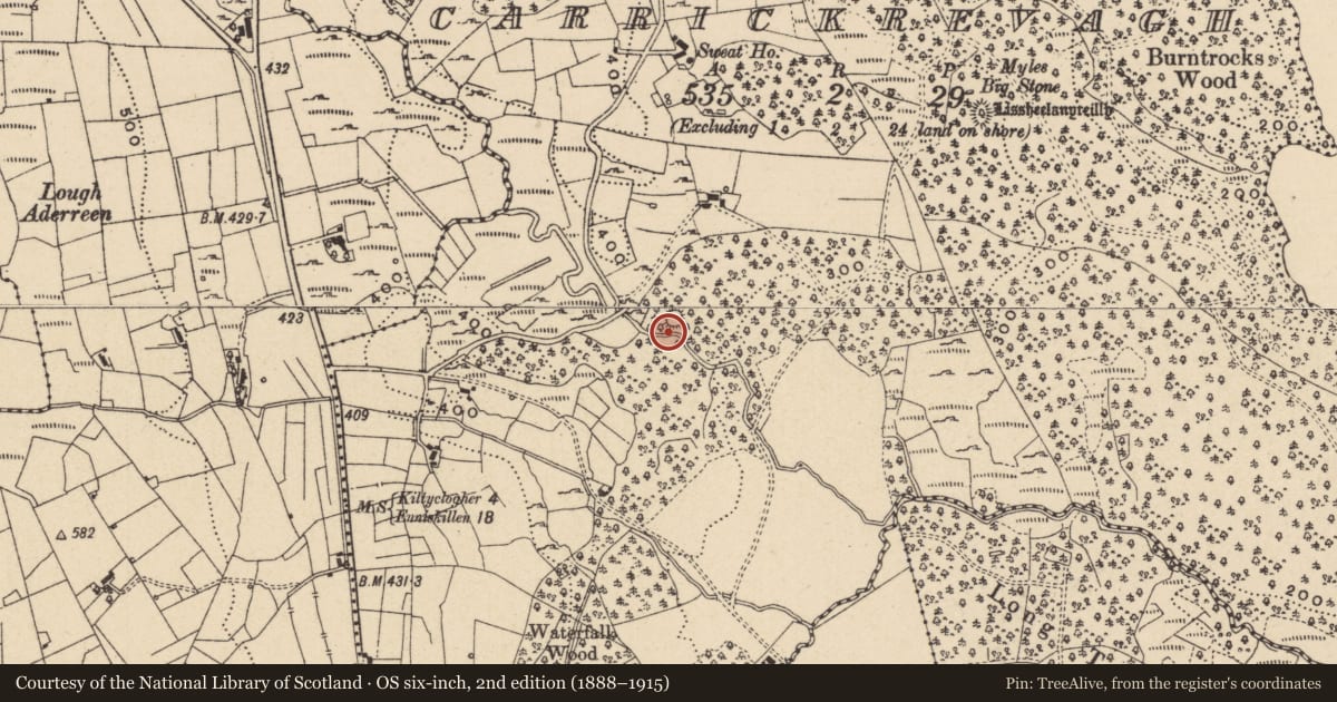 Ordnance Survey six-inch map, 2nd edition (1888–1915) covering the location of Ringfort - cashel, Carrickrevagh, County Leitrim, with a pin at the register's coordinates