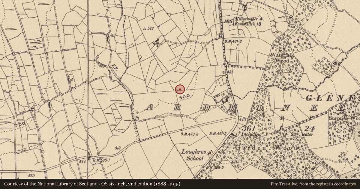 Ordnance Survey six-inch map, 2nd edition (1888–1915) covering the location of Ringfort - rath, Ardmoneen, County Leitrim, with a pin at the register's coordinates