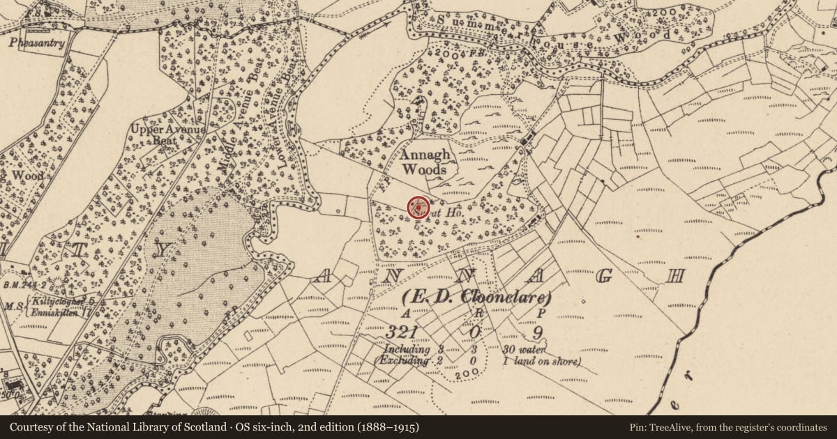 Ordnance Survey six-inch map, 2nd edition (1888–1915) covering the location of Ringfort - cashel, Annagh, County Leitrim, with a pin at the register's coordinates