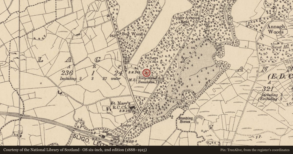 Ordnance Survey six-inch map, 2nd edition (1888–1915) covering the location of Earthwork, Laghty, County Leitrim, with a pin at the register's coordinates