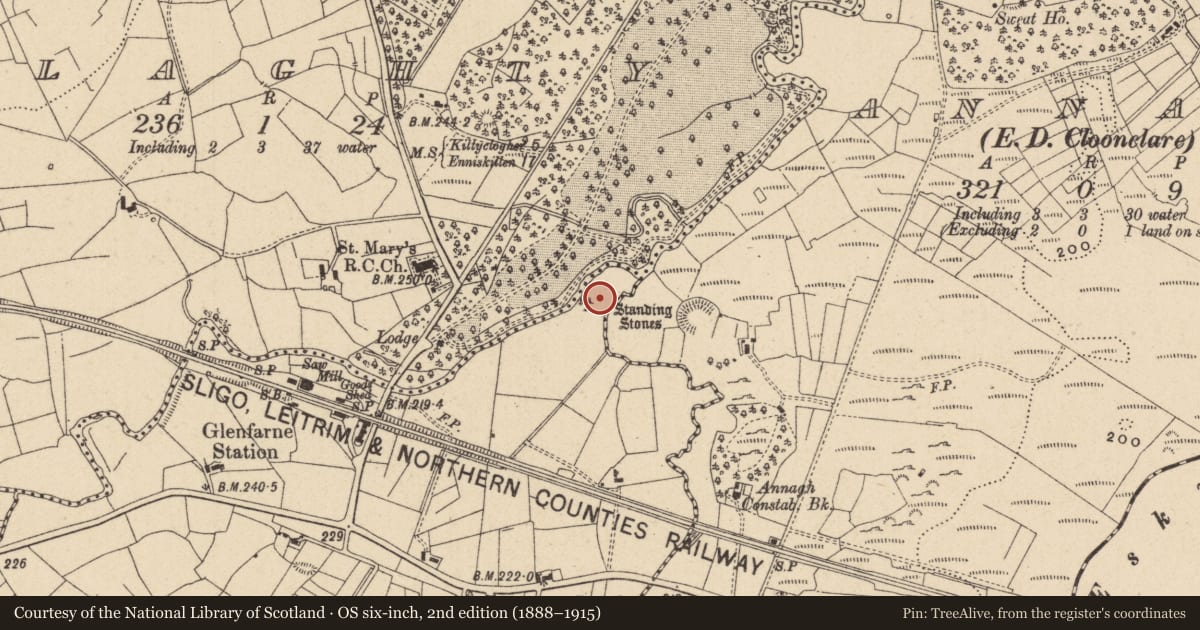 Ordnance Survey six-inch map, 2nd edition (1888–1915) covering the location of Stone row, Brockagh Lower, County Leitrim, with a pin at the register's coordinates