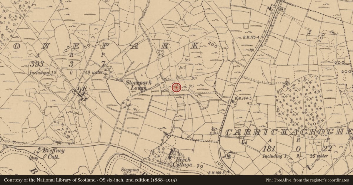 Ordnance Survey six-inch map, 2nd edition (1888–1915) covering the location of Ringfort - cashel, Stonepark, County Leitrim, with a pin at the register's coordinates
