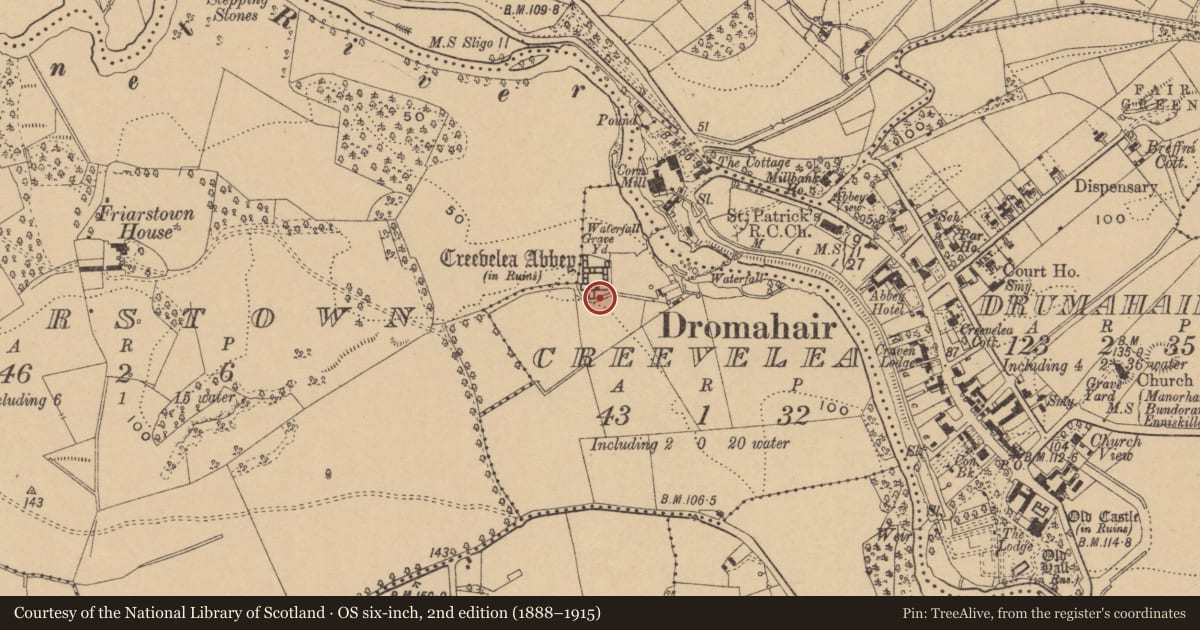 Ordnance Survey six-inch map, 2nd edition (1888–1915) covering the location of Religious house - Franciscan friars, Creevelea, County Leitrim, with a pin at the register's coordinates