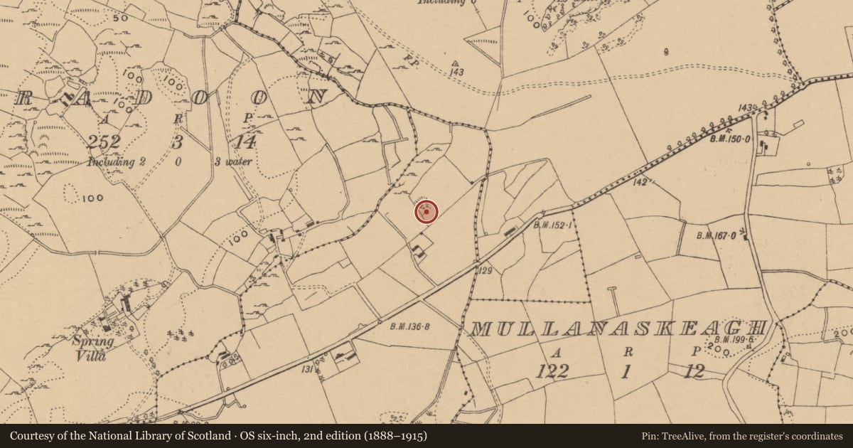 Ordnance Survey six-inch map, 2nd edition (1888–1915) covering the location of Enclosure, Sliganagh, County Leitrim, with a pin at the register's coordinates