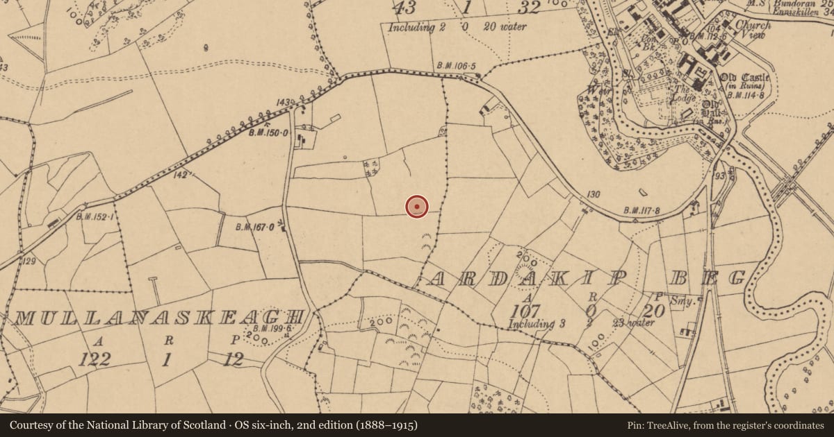 Ordnance Survey six-inch map, 2nd edition (1888–1915) covering the location of Enclosure, Mullanaskeagh, County Leitrim, with a pin at the register's coordinates
