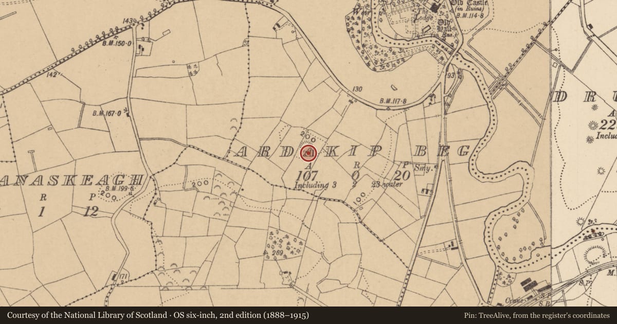 Ordnance Survey six-inch map, 2nd edition (1888–1915) covering the location of Ringfort - rath, Ardakip Beg, County Leitrim, with a pin at the register's coordinates