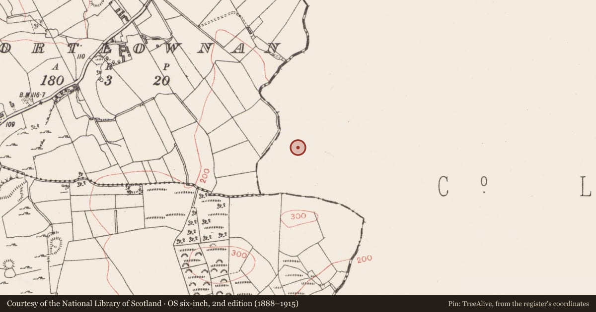 Ordnance Survey six-inch map, 2nd edition (1888–1915) covering the location of Ringfort - rath, Derrybrisk, County Leitrim, with a pin at the register's coordinates