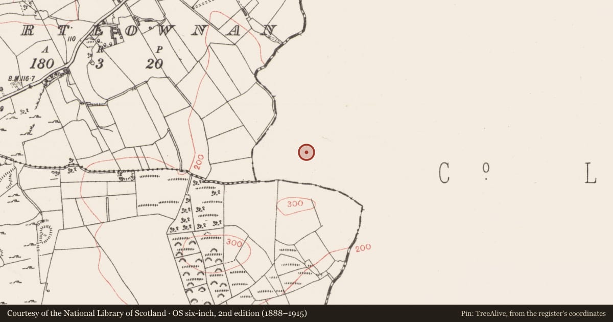 Ordnance Survey six-inch map, 2nd edition (1888–1915) covering the location of Ringfort - rath, Derrybrisk, County Leitrim, with a pin at the register's coordinates