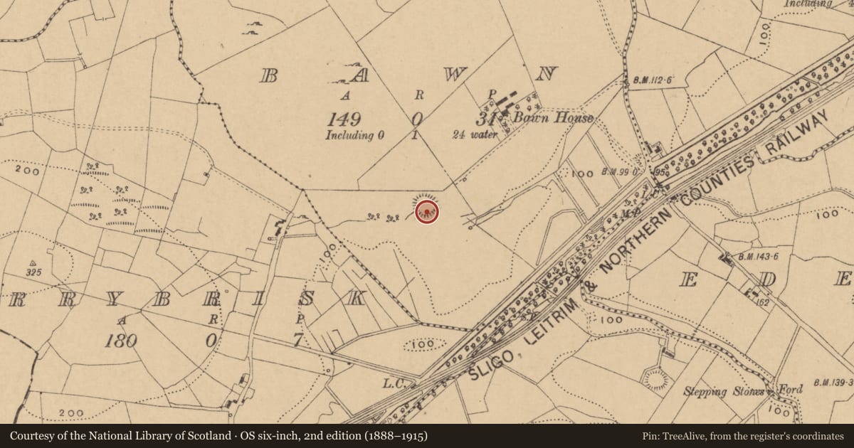 Ordnance Survey six-inch map, 2nd edition (1888–1915) covering the location of Ringfort - rath, Bawn, County Leitrim, with a pin at the register's coordinates
