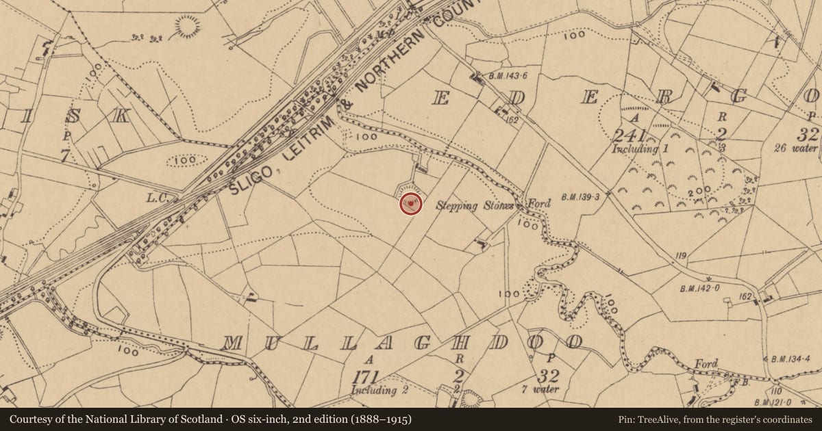 Ordnance Survey six-inch map, 2nd edition (1888–1915) covering the location of Ringfort - rath, Mullaghdoo, County Leitrim, with a pin at the register's coordinates