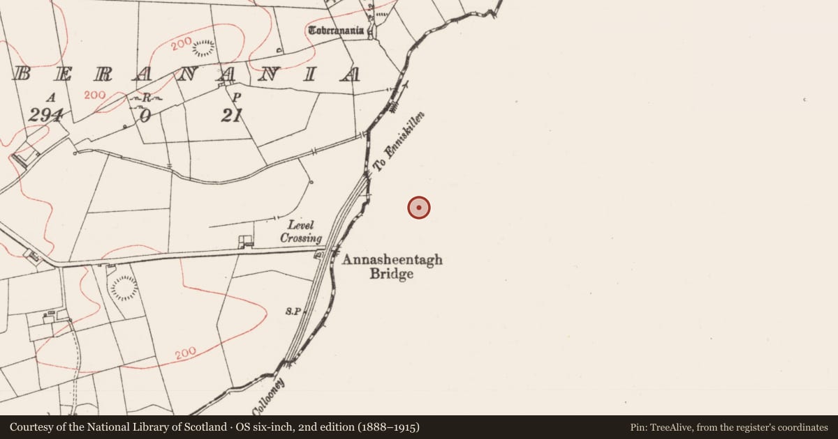 Ordnance Survey six-inch map, 2nd edition (1888–1915) covering the location of Ringfort - rath, Drumduff, County Leitrim, with a pin at the register's coordinates