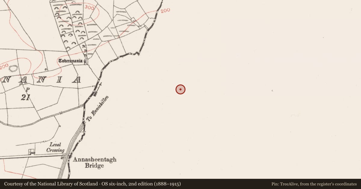 Ordnance Survey six-inch map, 2nd edition (1888–1915) covering the location of Ringfort - rath, Drumrane, County Leitrim, with a pin at the register's coordinates