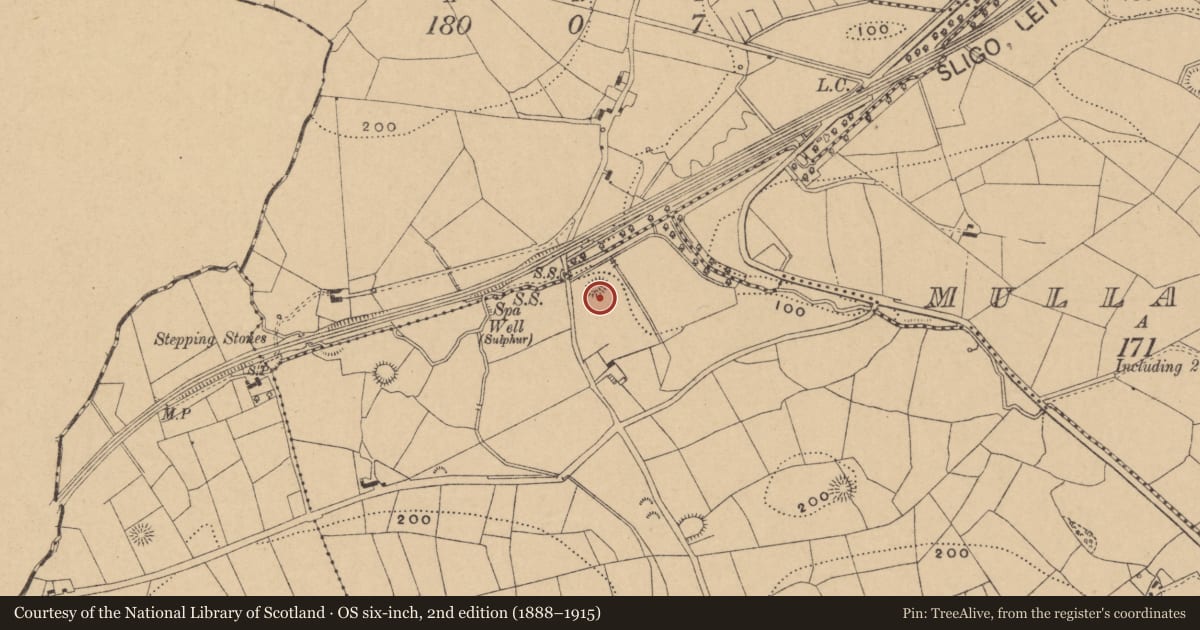 Ordnance Survey six-inch map, 2nd edition (1888–1915) covering the location of Ringfort - rath, Drumrane, County Leitrim, with a pin at the register's coordinates
