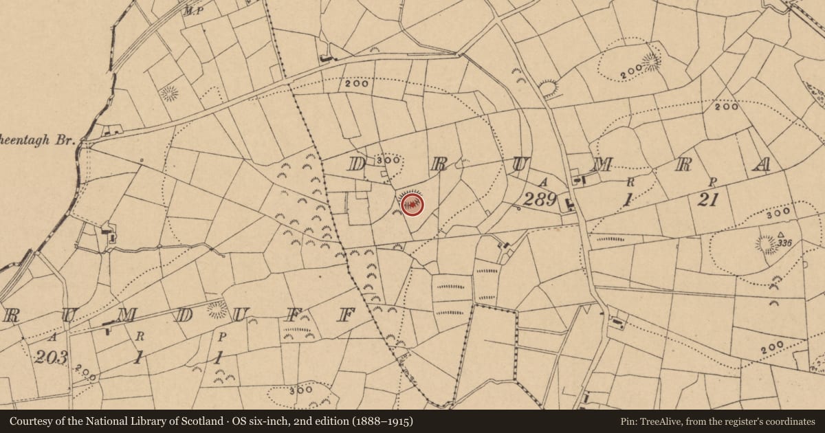 Ordnance Survey six-inch map, 2nd edition (1888–1915) covering the location of Ringfort - rath, Drumrane, County Leitrim, with a pin at the register's coordinates