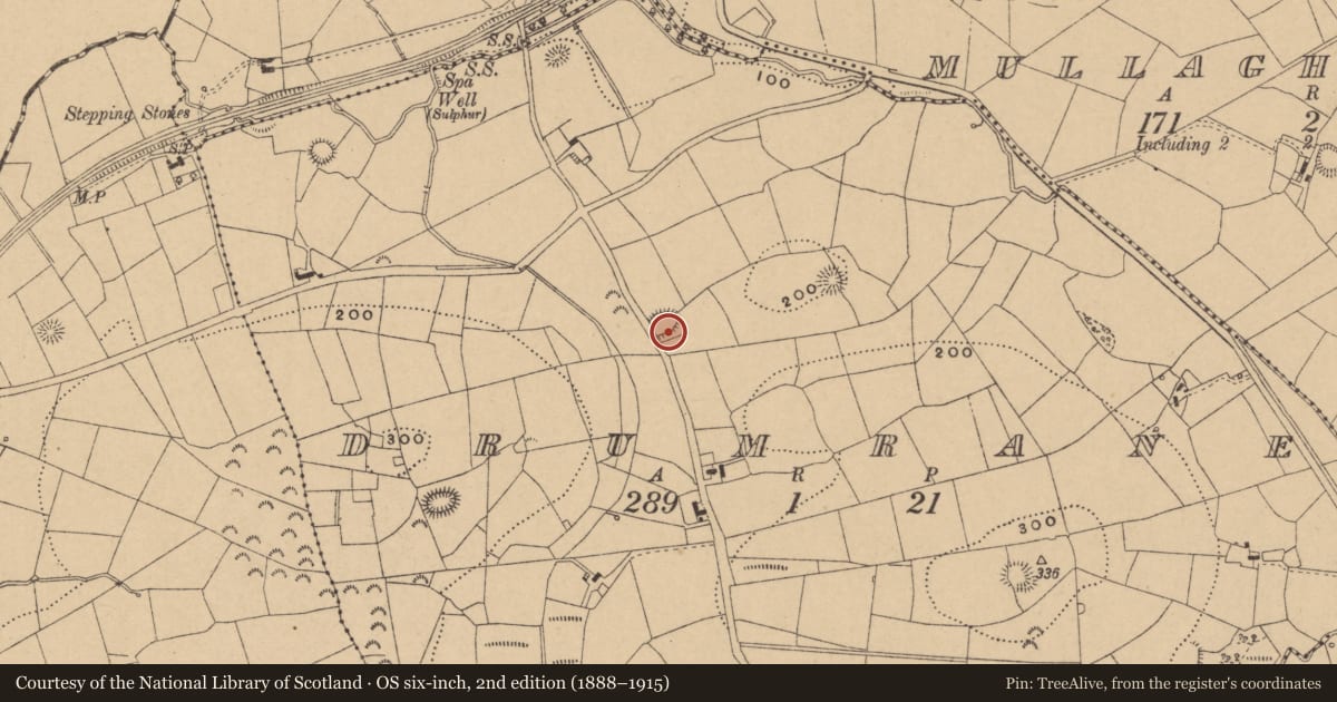 Ordnance Survey six-inch map, 2nd edition (1888–1915) covering the location of Ringfort - rath, Drumrane, County Leitrim, with a pin at the register's coordinates