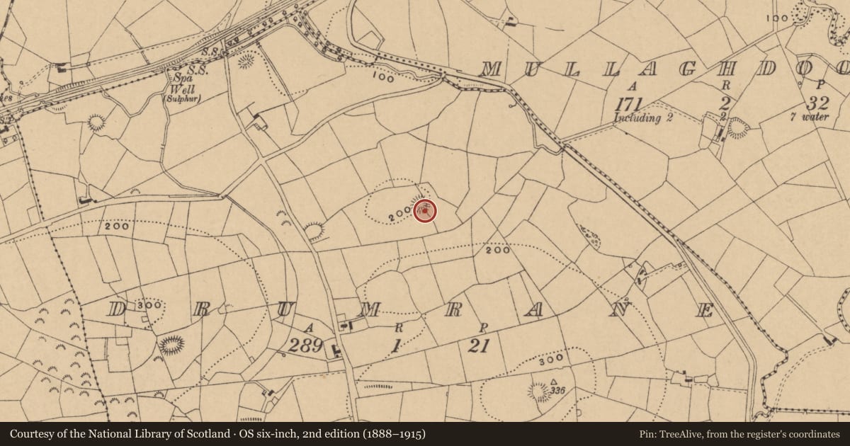 Ordnance Survey six-inch map, 2nd edition (1888–1915) covering the location of Ringfort - rath, Drumrane, County Leitrim, with a pin at the register's coordinates