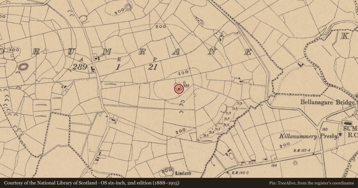 Ordnance Survey six-inch map, 2nd edition (1888–1915) covering the location of Ringfort - rath, Drumrane, County Leitrim, with a pin at the register's coordinates