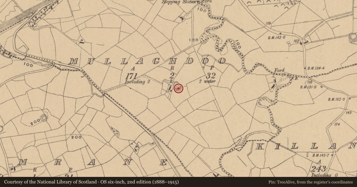 Ordnance Survey six-inch map, 2nd edition (1888–1915) covering the location of Ringfort - rath, Mullaghdoo, County Leitrim, with a pin at the register's coordinates