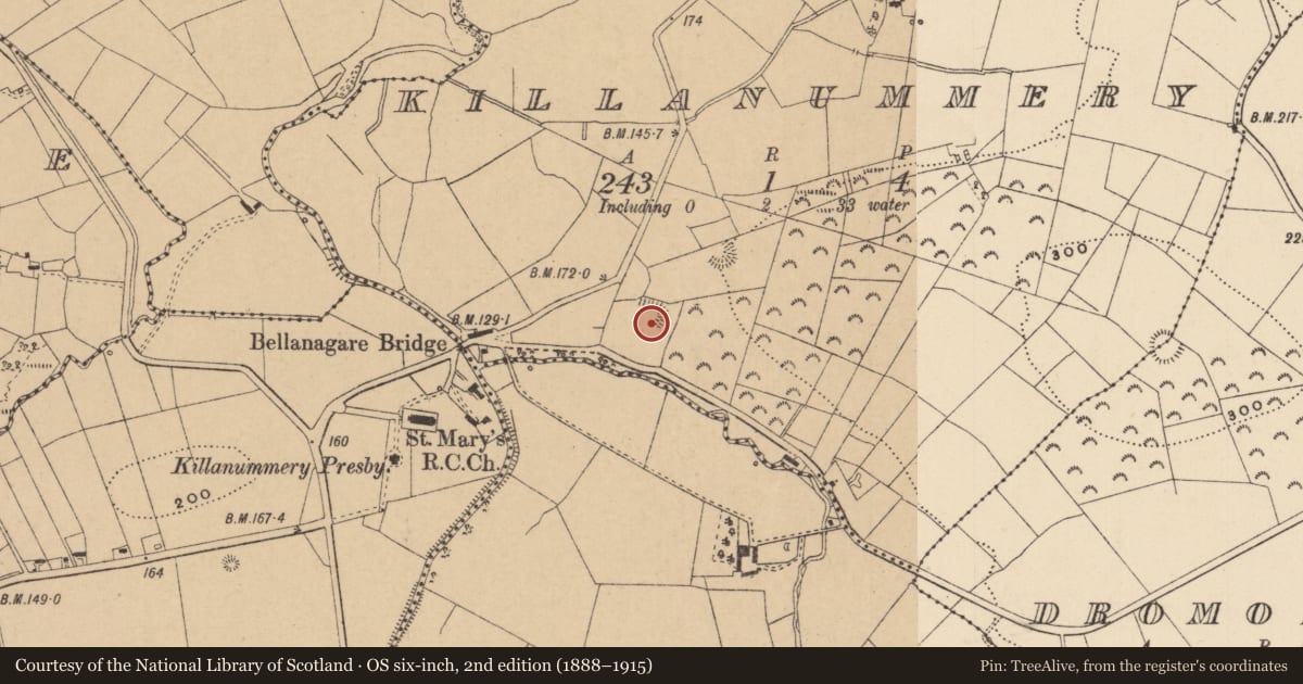 Ordnance Survey six-inch map, 2nd edition (1888–1915) covering the location of Earthwork, Killanummery, County Leitrim, with a pin at the register's coordinates