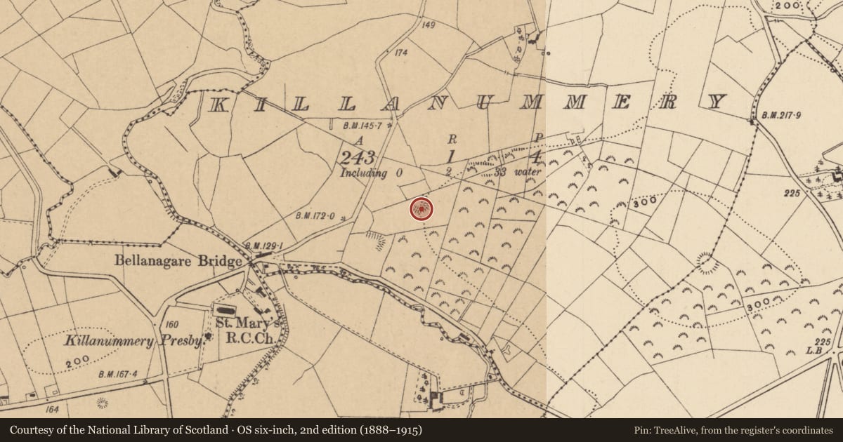 Ordnance Survey six-inch map, 2nd edition (1888–1915) covering the location of Ringfort - rath, Killanummery, County Leitrim, with a pin at the register's coordinates