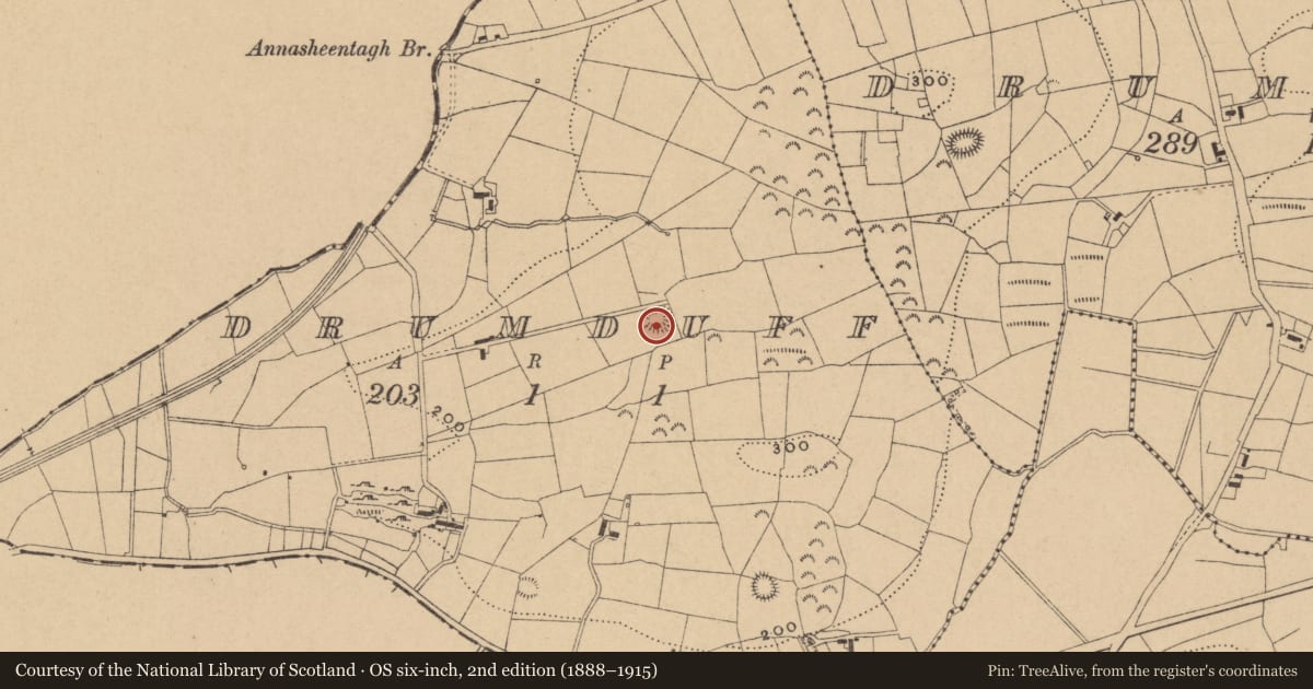 Ordnance Survey six-inch map, 2nd edition (1888–1915) covering the location of Ringfort - rath, Drumduff, County Leitrim, with a pin at the register's coordinates