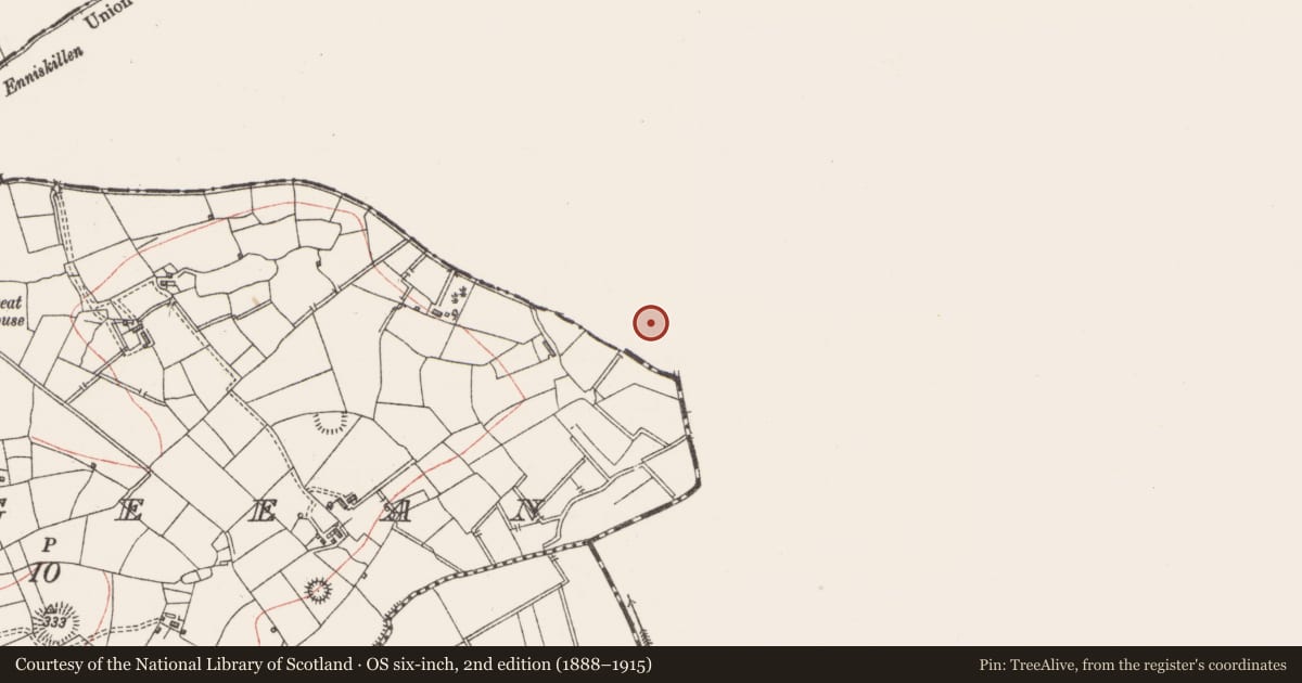Ordnance Survey six-inch map, 2nd edition (1888–1915) covering the location of Ringfort - unclassified, Drumduff, County Leitrim, with a pin at the register's coordinates