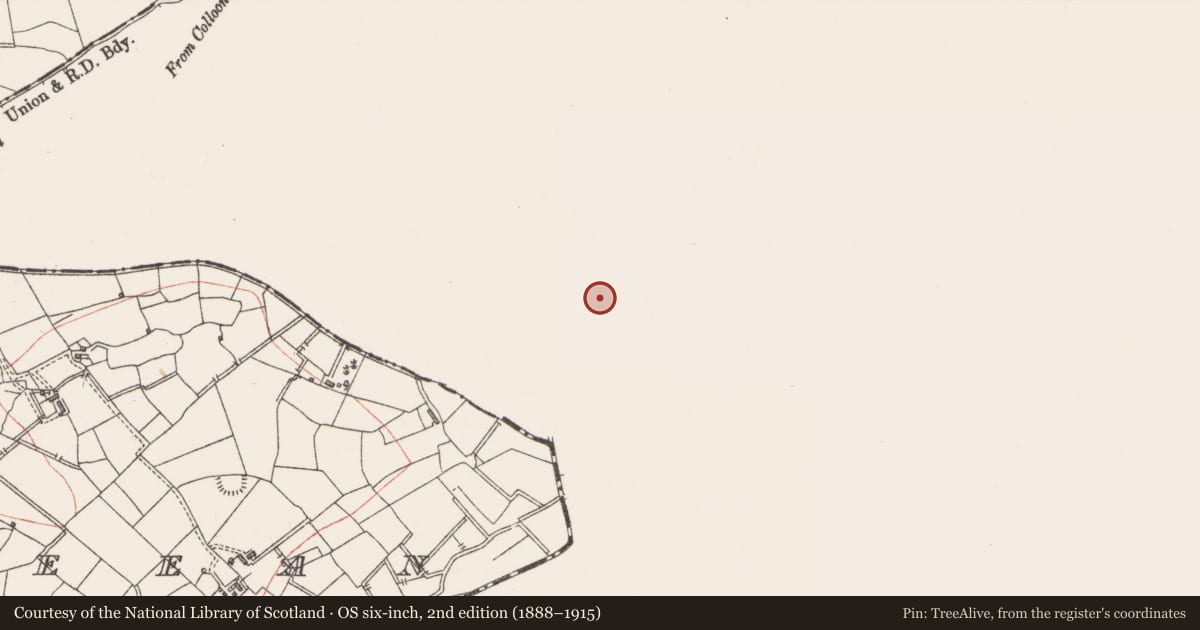 Ordnance Survey six-inch map, 2nd edition (1888–1915) covering the location of Ringfort - rath, Drumduff, County Leitrim, with a pin at the register's coordinates