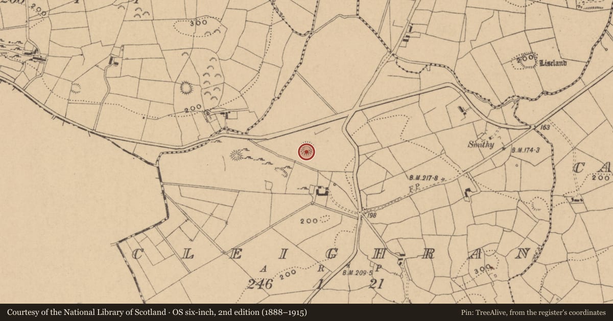 Ordnance Survey six-inch map, 2nd edition (1888–1915) covering the location of Ringfort - cashel, Cleighran, County Leitrim, with a pin at the register's coordinates