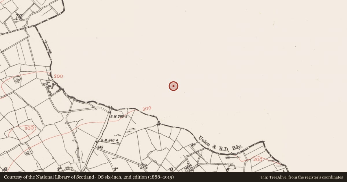 Ordnance Survey six-inch map, 2nd edition (1888–1915) covering the location of Ringfort - rath, Cleighran, County Leitrim, with a pin at the register's coordinates