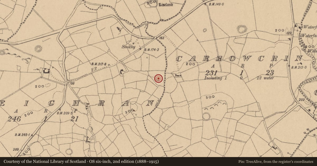 Ordnance Survey six-inch map, 2nd edition (1888–1915) covering the location of Ringfort - rath, Cleighran, County Leitrim, with a pin at the register's coordinates